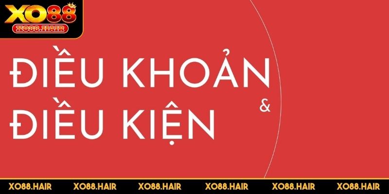 Nghĩa vụ của người chơi khi tham gia cá cược tại XO88